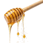 Home vecteezy free new honey dripping from a wooden stick on a transparent 59037063