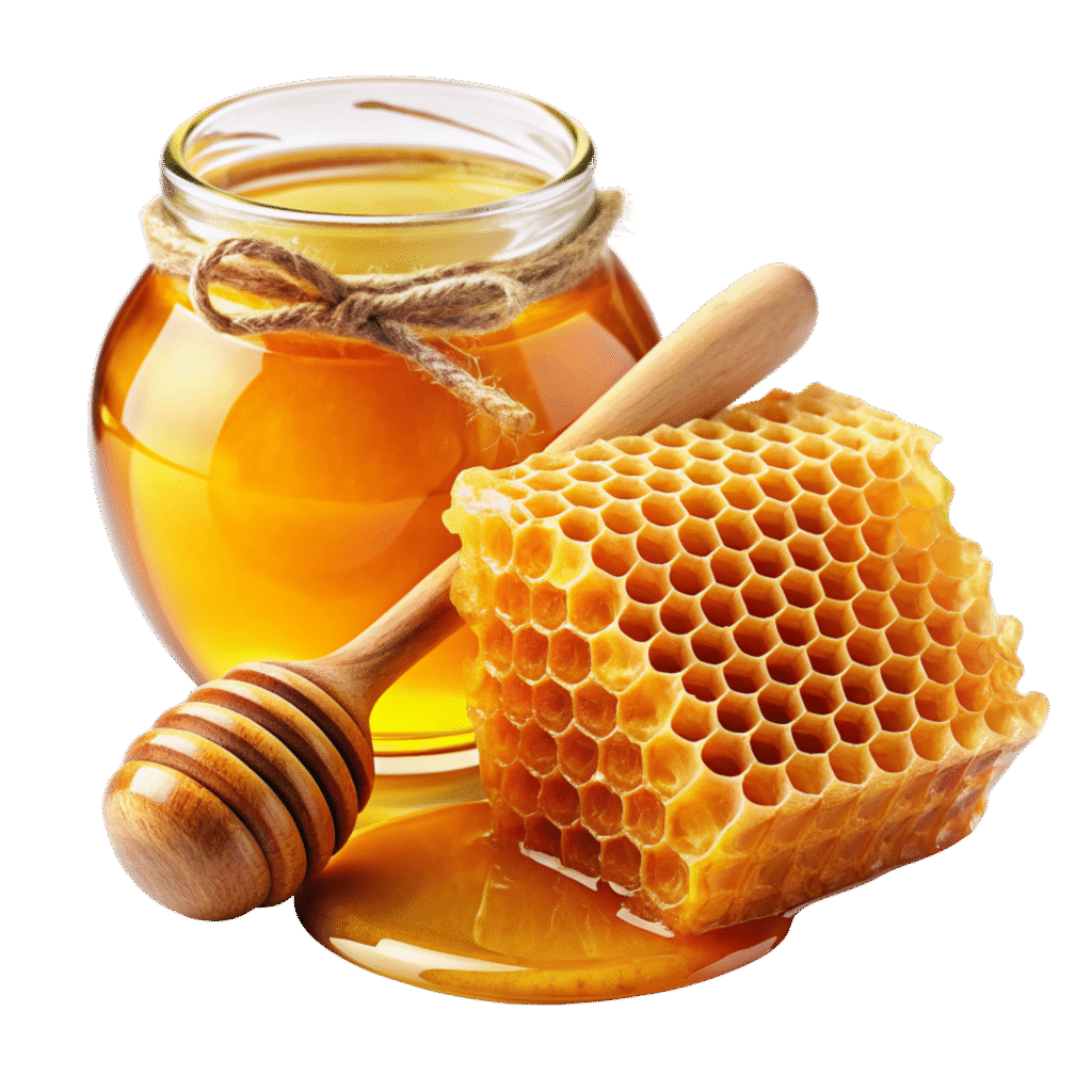 honey and honeycomb honey and honeycomb